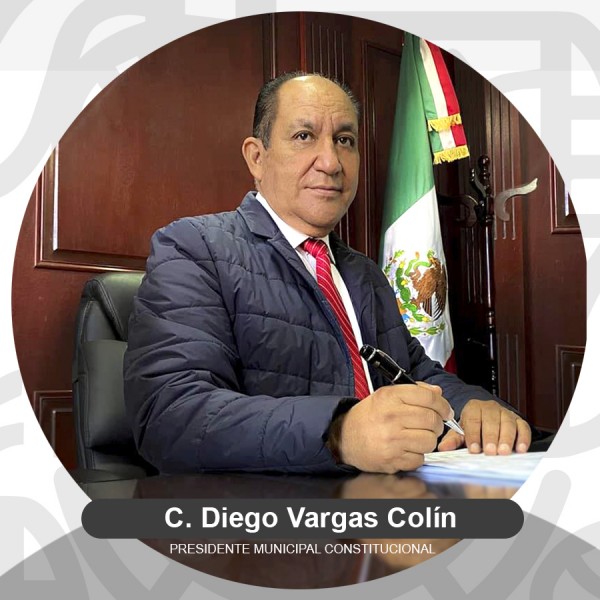 Diego Vargas Colin