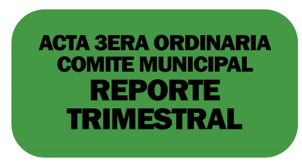 ACTA 3ERA ORDINARIA C.M. REPORTE TR