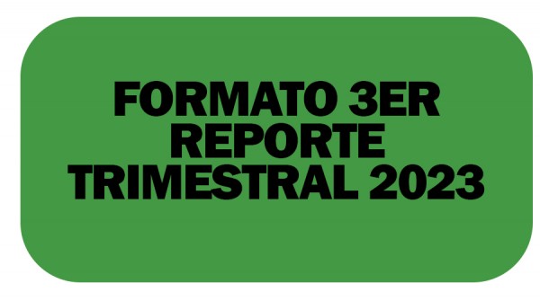 FORMATO 3ER REPORTE TRIMESTRAL 2023